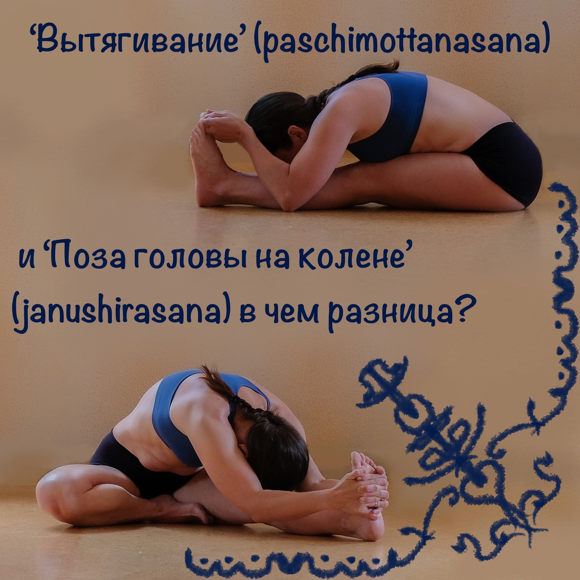 ‘Вытягивание’ (Paschimottanasana) и ‘Поза головы на колене’ (Janushirasana) в чем разница?